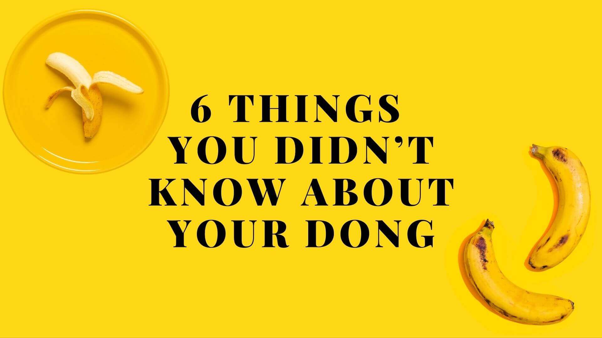 6 things you didn’t know about your dong