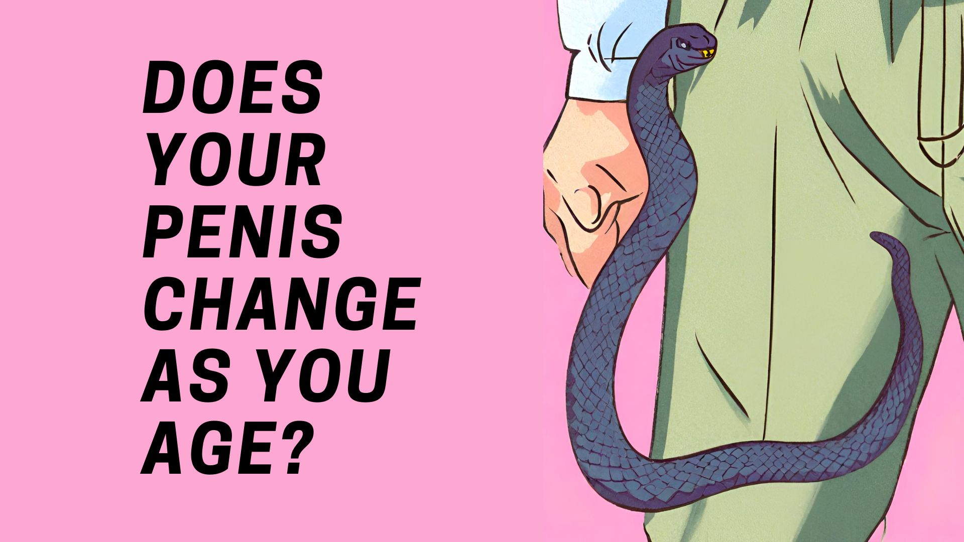 Con rắn trong quần của bạn có thay đổi khi bạn già đi không?