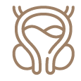 Prostate Cancer Screening